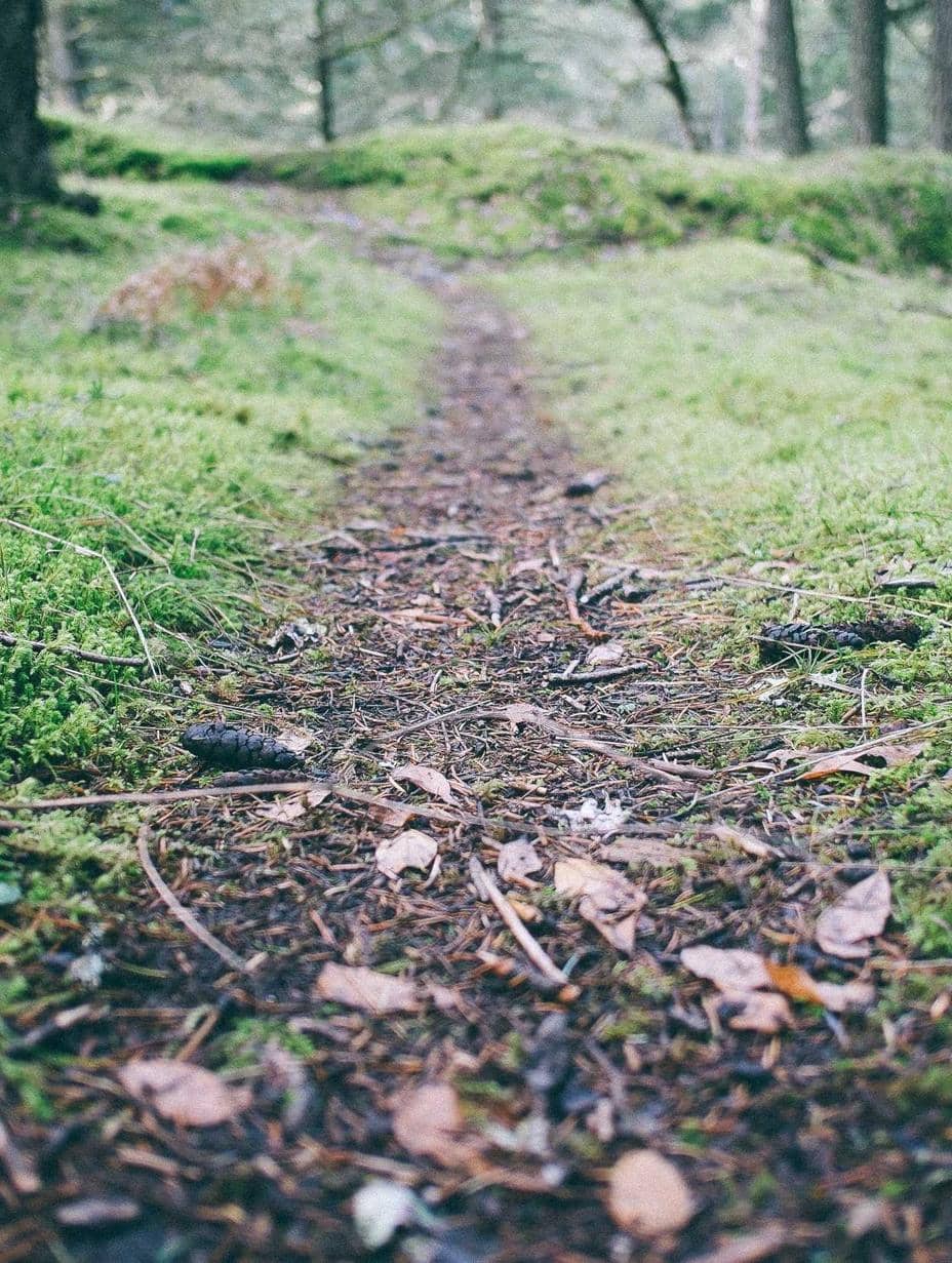 Test_wCyBDasGcI WVjTHYFssN